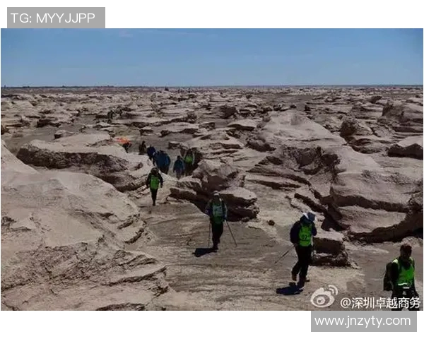 电竞新闻与张秀英畅谈DOTA2职业生涯的成长与挑战之路